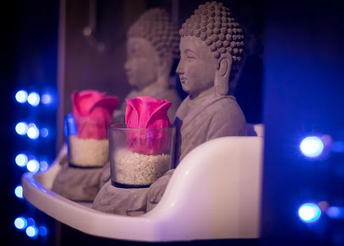 度假居 Maison De Charme A Arcay Avec Jacuzzi Arcay (Vienne)